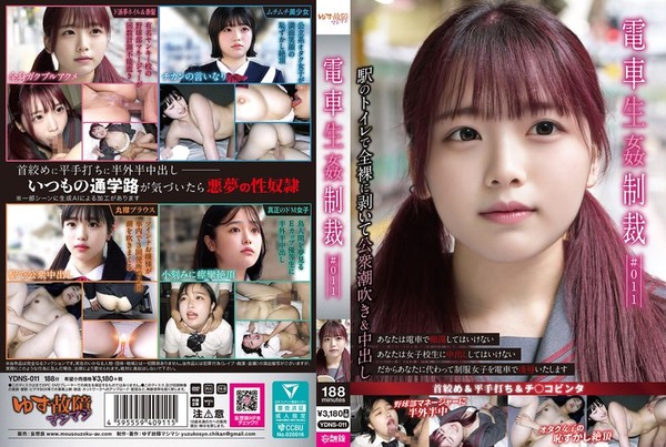 [YDNS-011] 電車生姦制裁 ＃011 YDNS-011.mp4